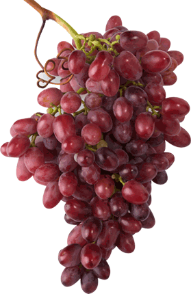 bunch of grapes